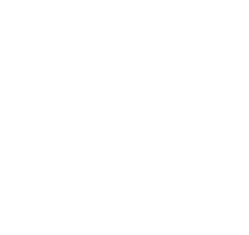 flerie-epiendo-logo-overlay