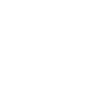 flerie-geneos-logo-overlay