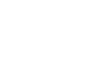 flerie-lipum-logo-overlay