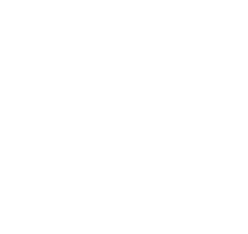 flerie-nanologica-logo-overlay