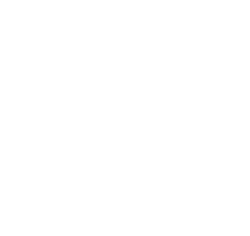 flerie-northx-logo-overlay