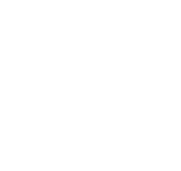 flerie-strike-logo-overlay