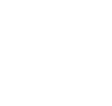 flerie-synekine-logo-overlay